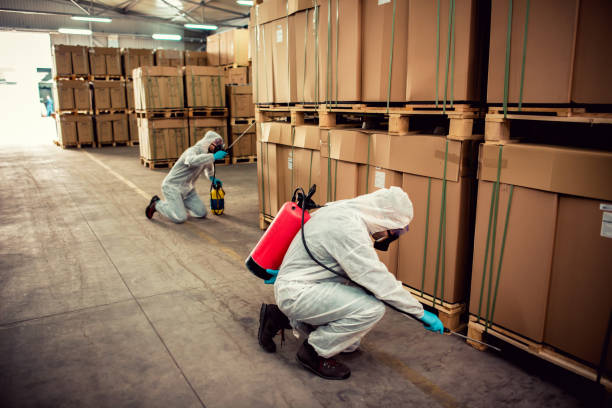 Best Pest Removal Services  in Virginia Gardens, FL