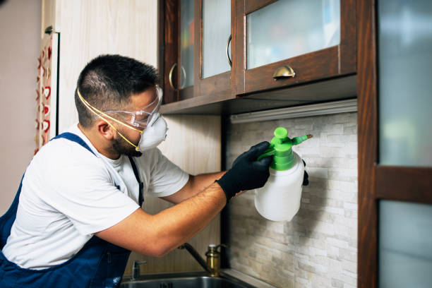 Best Termite Control Services  in Virginia Gardens, FL