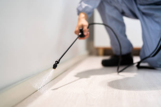 Pest Control Cost in Virginia Gardens, FL