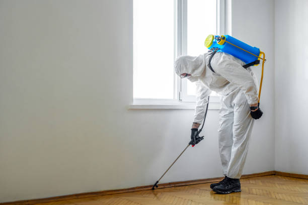 Best Rat Extermination Near Me  in Virginia Gardens, FL