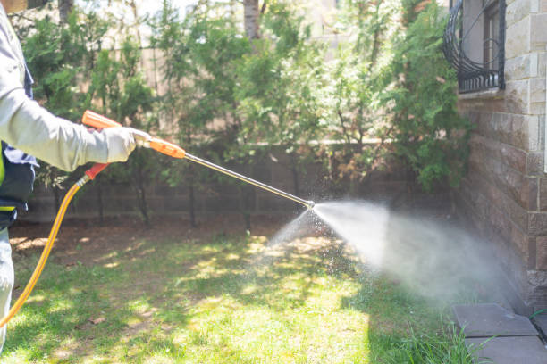 Best Pest Control Near Me  in Virginia Gardens, FL