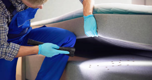 Best Best Pest Control Companies  in Virginia Gardens, FL