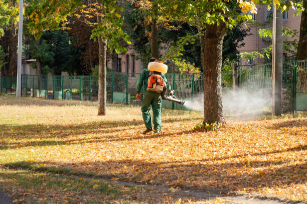 Best Commercial Pest Control Services  in Virginia Gardens, FL
