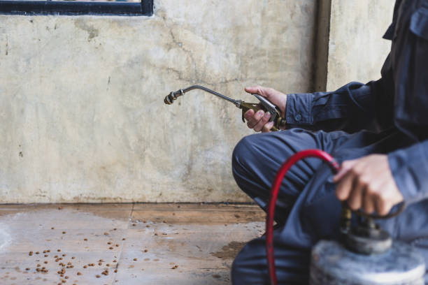 Best Emergency Pest Control  in Virginia Gardens, FL