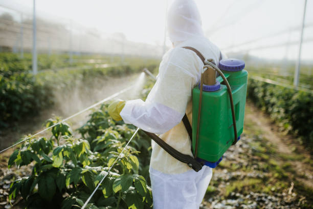 Reliable Virginia Gardens, FL Pest Control Solutions